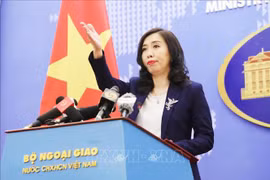 2020东盟轮值主席年：越南主动提出倡议并促进东盟合作以有效应对疾病