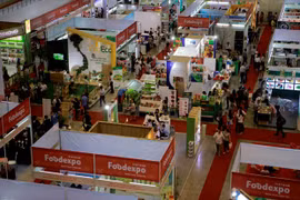 2020年越南食品工业国际展将以在线形式举行