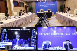 亚太经合组织工商咨询理事会呼吁建造一个充满活力的经济共同体