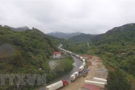  新冠肺炎疫情：中国强化口岸管控 越南对华出口影响严重