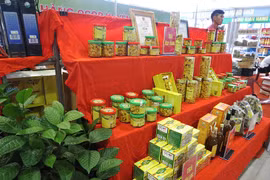 金花茶种植给广宁省巴节县同胞带来利益