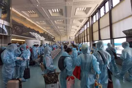把滞留在中国台湾和日本的越南公民安全接回国