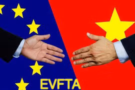 越南国会将在第九次会议首日批准EVFTA协定
