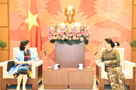 越南国会主席阮氏金银会见古巴和俄罗斯驻越大使