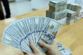 4月17日越盾对美元汇率中间价上调5越盾