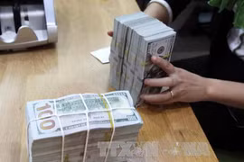 4月29日越盾对美元汇率中间价继续下调5越盾