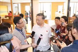 越南公安部长苏林：越方正在与日方配合调查日本公司涉嫌行贿海关和税务干部的行为