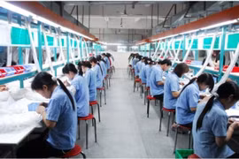 越南劳动者对就业机会充满信心