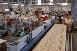 力争实现2020年林产品出口增长10%