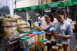 升龙-河内建都1010周年：河内市举行文化周 