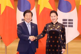 越通社简讯2020.11.2