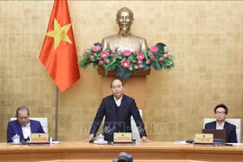 阮春福在会议上作指导。图自越通社