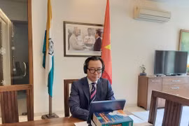  越南分享新冠肺炎疫情结束后发展政策的经验