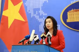 越南希望推动越日纵深战略伙伴关系迈上新高度度