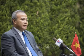 武洪南大使：在日越南人处变不惊应对新冠肺炎疫情