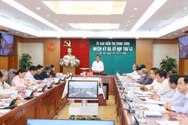 越共中央检查委员会第43次会议：讨论决定给予2010-2015年任期胡志明市委常委会纪律处分