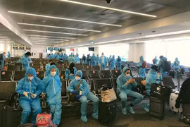新冠肺炎疫情：将在日本的220名越南公民接回国