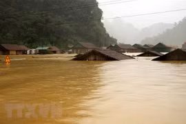 旅居瑞士越南人情系中部受灾群众