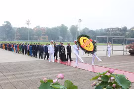 胡志明主席诞辰130周年：国会代表在出席第九次会议前夕拜谒胡志明主席陵