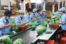 越南槟椥省为中小型企业对接资金