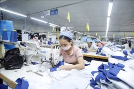 越南努力做好民生保障工作 为应对新冠肺炎疫情做好准备