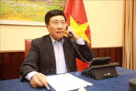 越德两国外交部长通电话