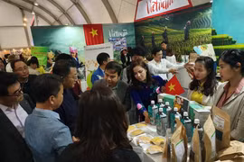 越南企业参加阿尔及利亚在线国际贸易博览会