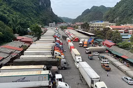 农产品车辆排长龙在口岸等待通关