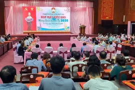 越南多地开展2020庚子年海外侨胞迎新春活动