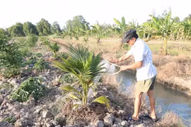印度向九龙江三角洲7个水资源管理项目提供资金援助