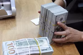 3月12日越盾对美元汇率中间价下调1越盾