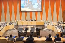 越南正式担任本月联合国安理会轮值主席国