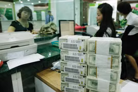 3月20日越盾对美元汇率中间价继续上调10越盾