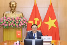 越南在国际政党圆桌视频会议上分享新冠肺炎疫情防控经验