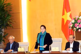 国会主席阮氏金银：越南法律体系不断健全完善