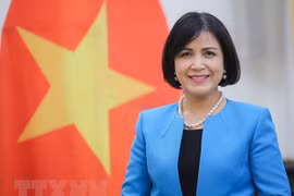 ASEAN 2020:越南促进东盟各国在日内瓦国际组织的参与度