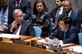 恪守《联合国宪章》 保障国际和平与安全