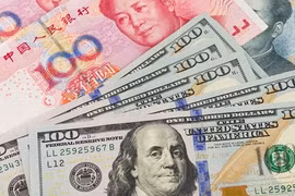 1月20日越盾对美元汇率中间价下调2越盾