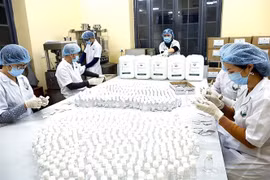 新冠肺炎疫情：首都河内青年开展多项面向社区的志愿活动