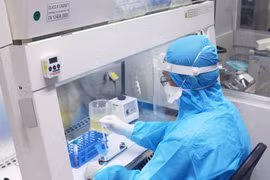 26日东南亚国家新冠肺炎疫情最新情况
