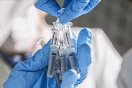 泰国开始在藏酋猴上测试新冠肺炎疫苗 马来西亚新增确诊病例突增
