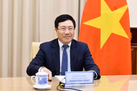 2020年越南外交事业：彰显越南在国际舞台上的地位