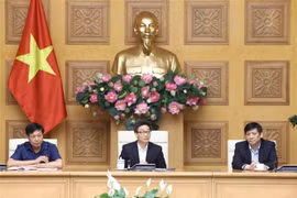 新冠肺炎疫情：越南将从2月29日0时起暂停对韩国公民的免签政策