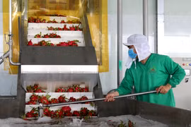 农产品出口未见起色