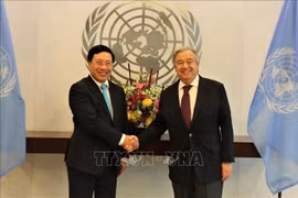 越南与联合国安理会：联合国秘书长与各国官员高度评价越南的国际地位 