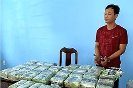 胡志明市公安破获一起跨境贩毒案 缴获毒品86公斤抓获犯罪嫌疑人12人
