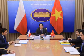 越南与波兰外交部副部长级政治磋商以视频形式举行
