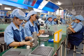 私营企业是越南经济中的一个亮点