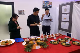 越韩美食文化交流活动在岘港市举行