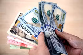 25日上午越盾对美元汇率中间价继续上调10越盾 
